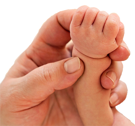Bebe